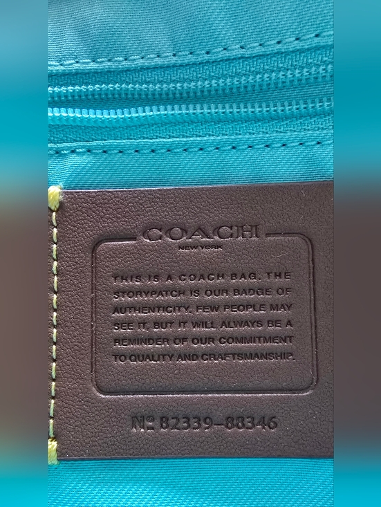 Coach Cassie 19 Pebble Leather Silver-tone Chain Shoulder Top Handle Crossbody - Picture 15 of 16